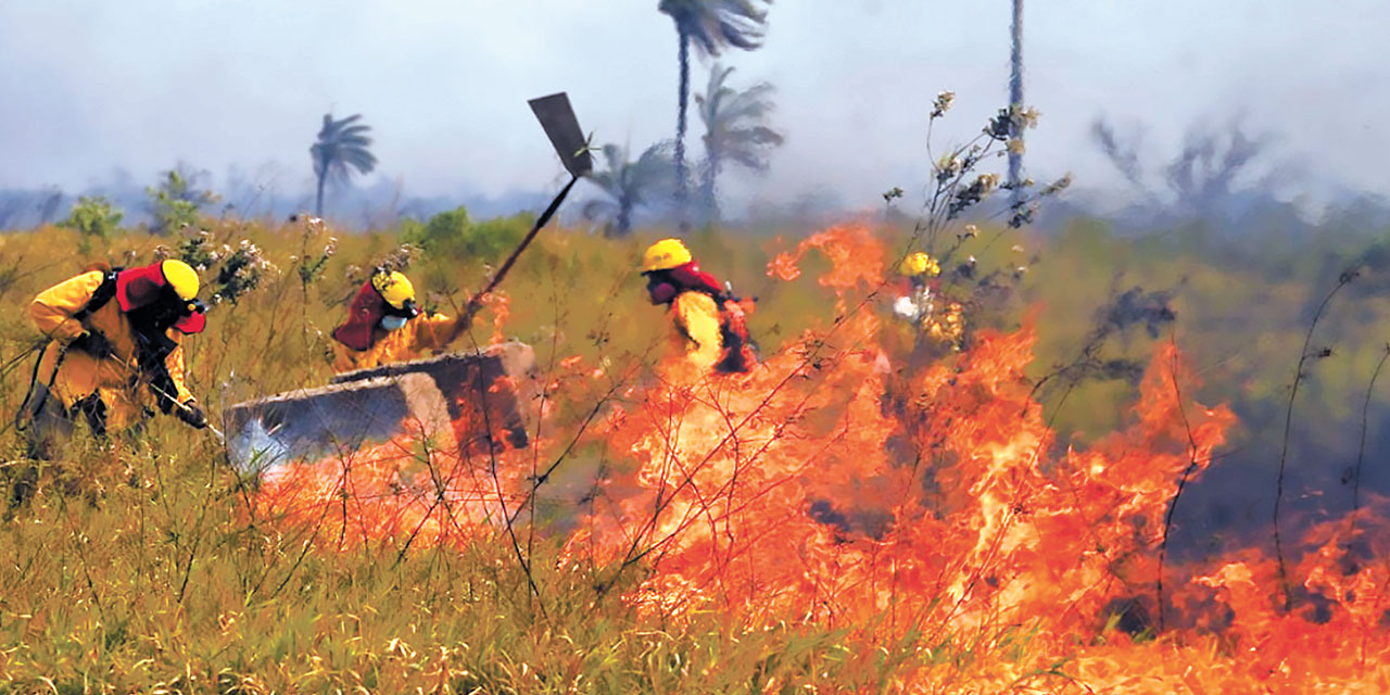 Las autoridades movilizaron recursos humanos para combatir los incendios. Foto Defensa Civil