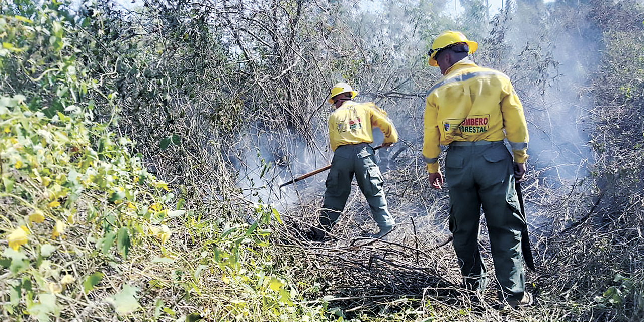 Efectivos de las Fuerzas Armadas sofocan incendios forestales.