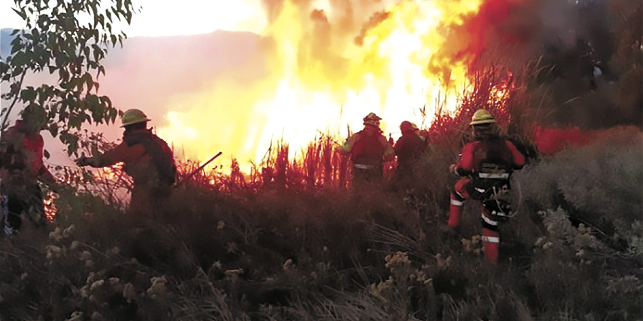 Bomberos forestales sofocan los incendios que afectan al  departamento de Santa Cruz. | Foto: VMA
