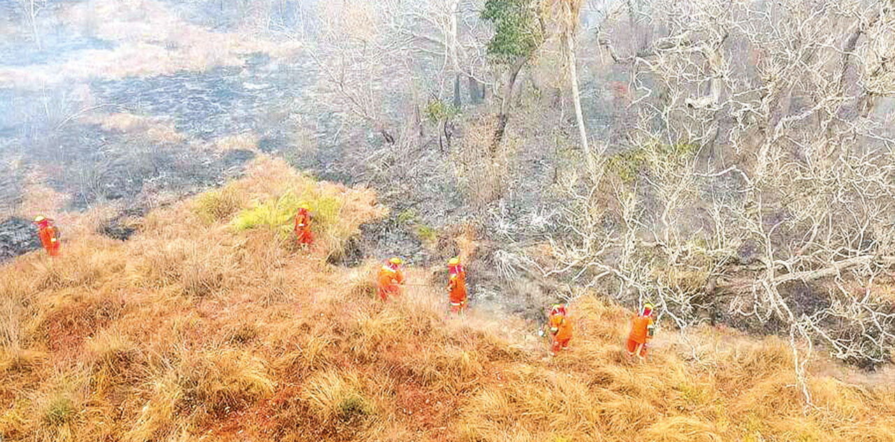 Bomberos combaten el fuego en la reserva forestal de Manuripi. Foto: Archivo