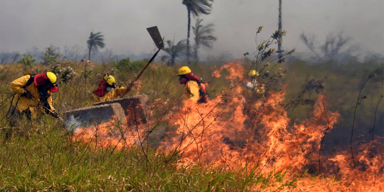 Bomberos forestales combaten los incendios, en su mayoría en el departamento de Santa Cruz. Foto: Archivo