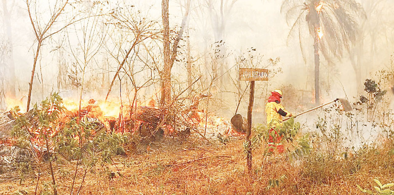 Un bombero combate el fuego en un área forestal de Santa Cruz. Foto: Ministerio de Gobierno
