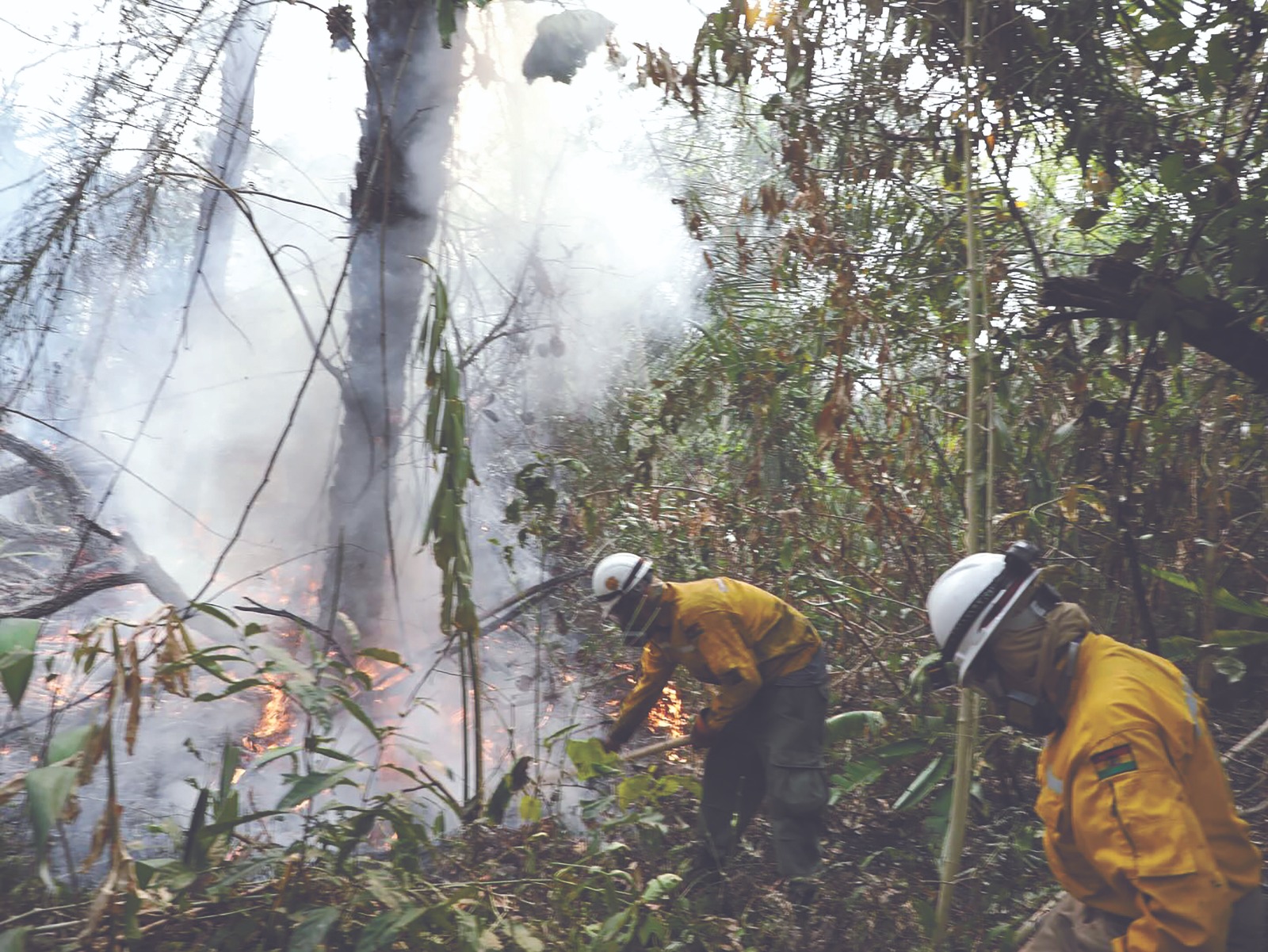 AvionesIncendios710246