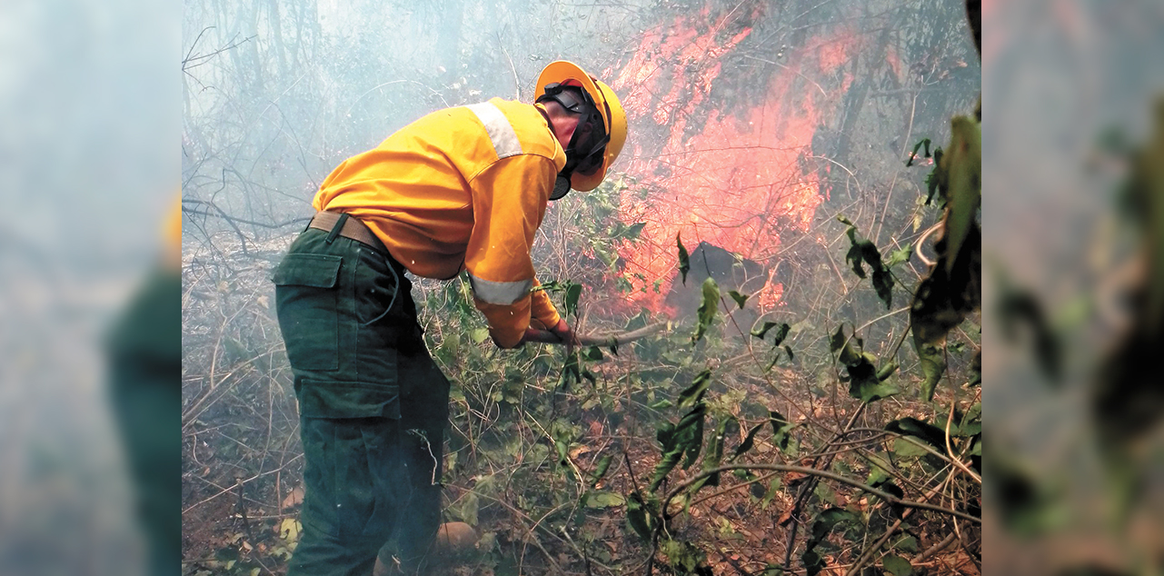 Un bombero voluntario en plena faena de aplacar el fuego en unos arbustos, en Santa Cruz. Foto: ABT