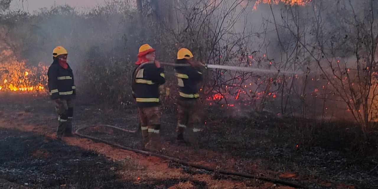 Bomberos forestales combaten los incendios en el país. Foto: Archivo