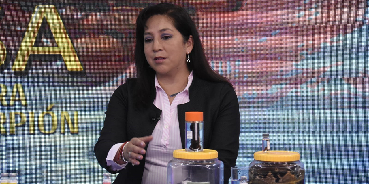 La directora del Inlasa, Evelyn Fortún, en BTV. (Foto: Gonzalo Jallasi)