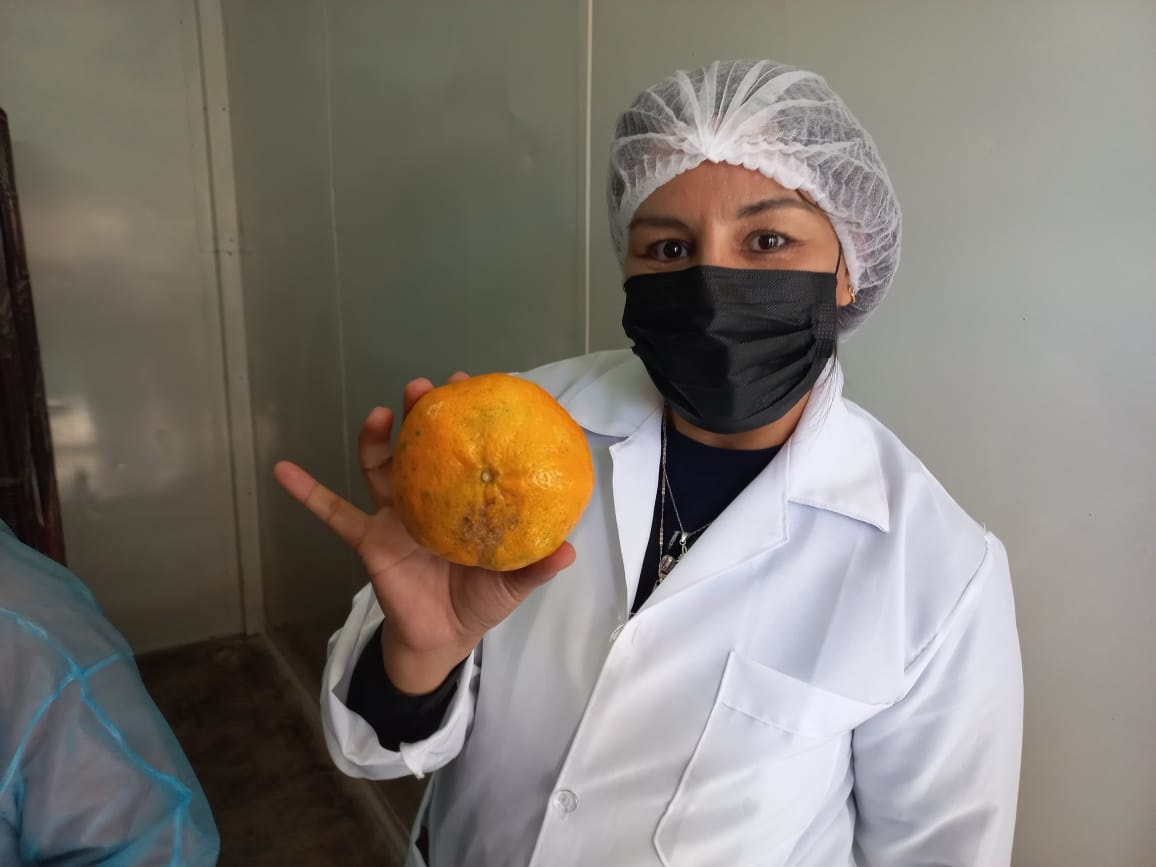 MandarinasEcuelas01062