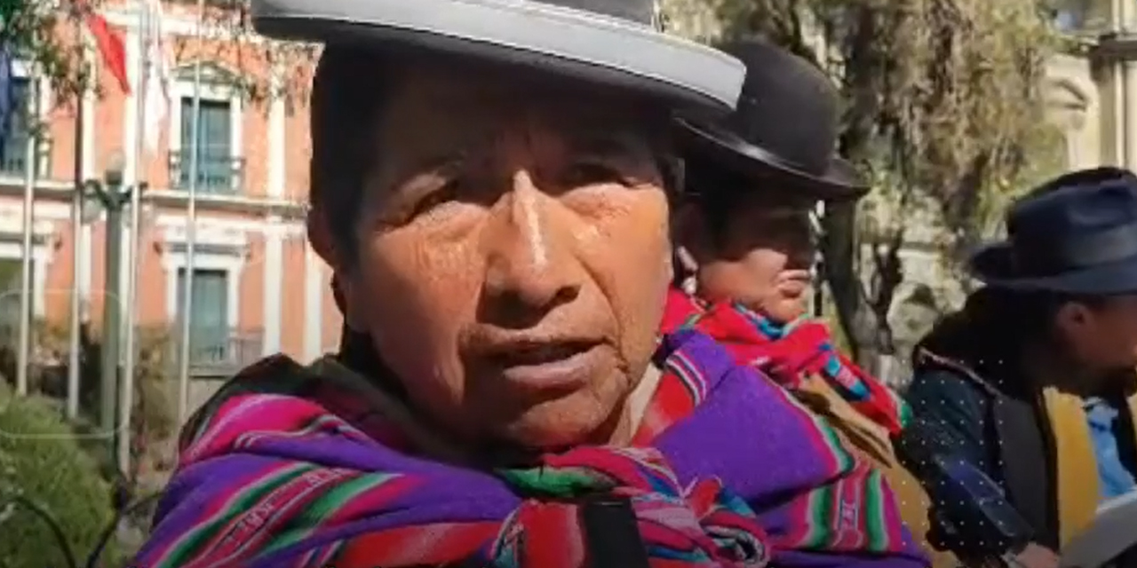 La exejecutiva de la Confederación de Mujeres “Bartolina Sisa”, Graciela Villca.