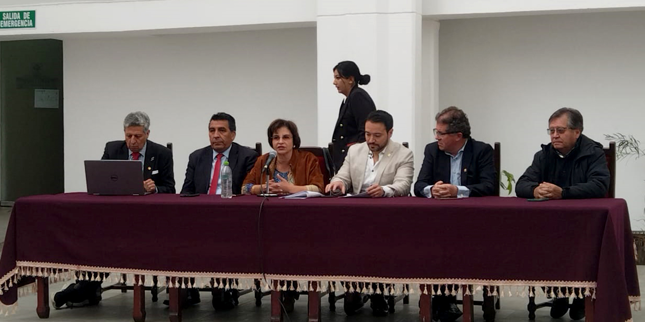 Diputados, la concejala y representantes de entes colegiados, durante el encuentro. (Foto: Gonzalo Jallasi)