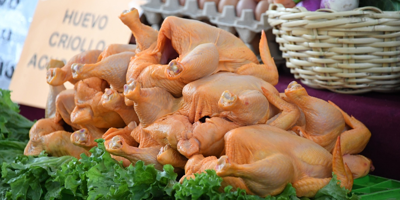 Carne de pollo. Foto: Archivo ABI