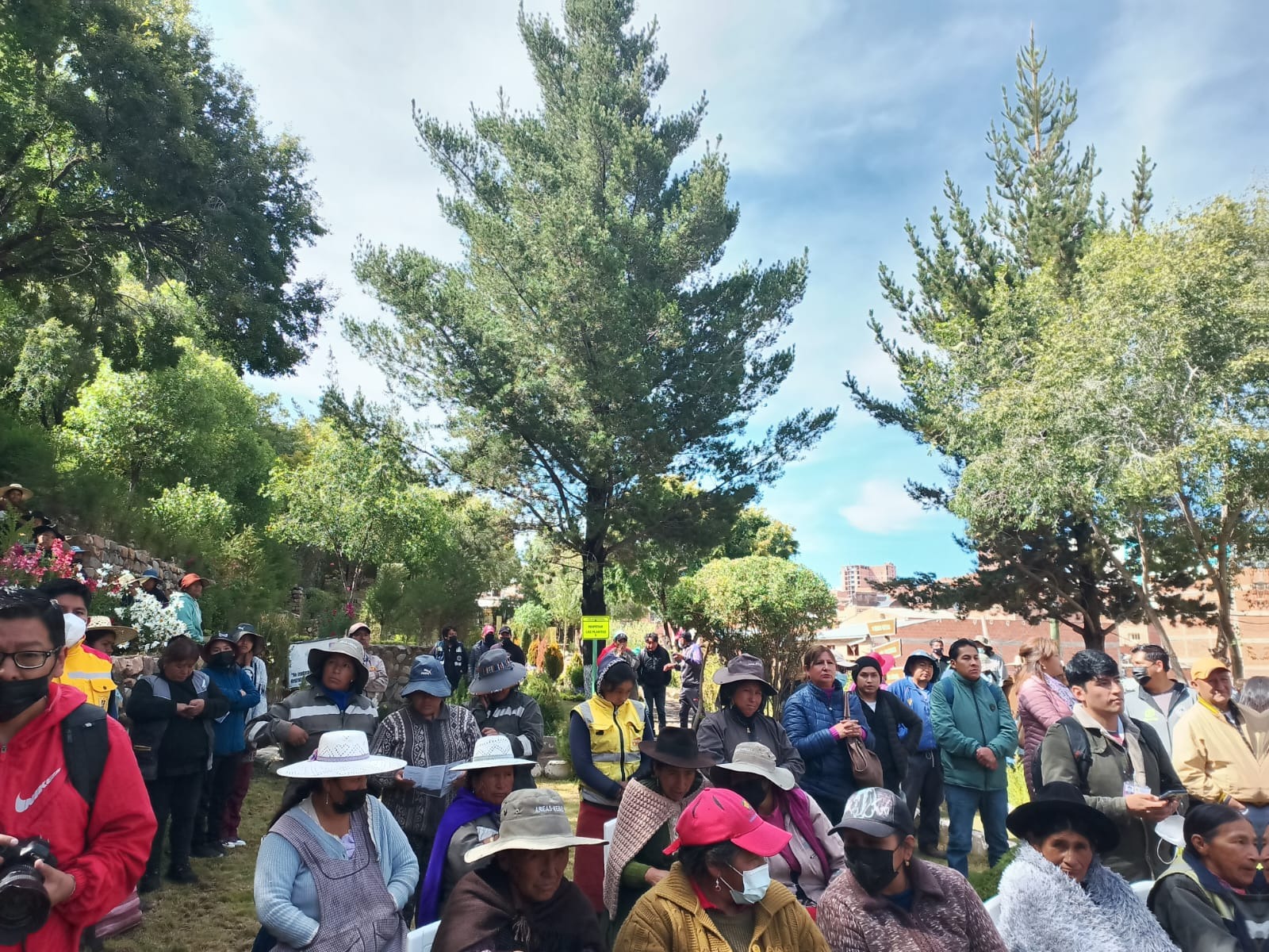 Reforestacion11093