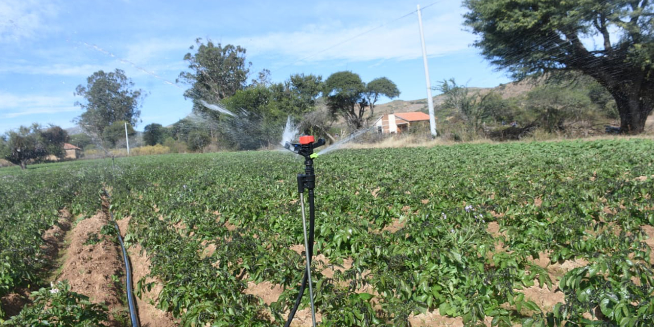 El Ejecutivo dota de sistema de agua a varias regiones del país. | Foto: APG