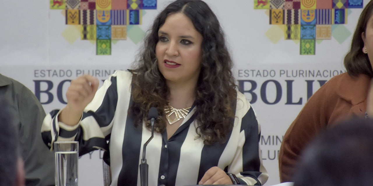 La ministra de Salud, María Renée Castro, durante la conferencia de prensa.  | Foto: MSyD