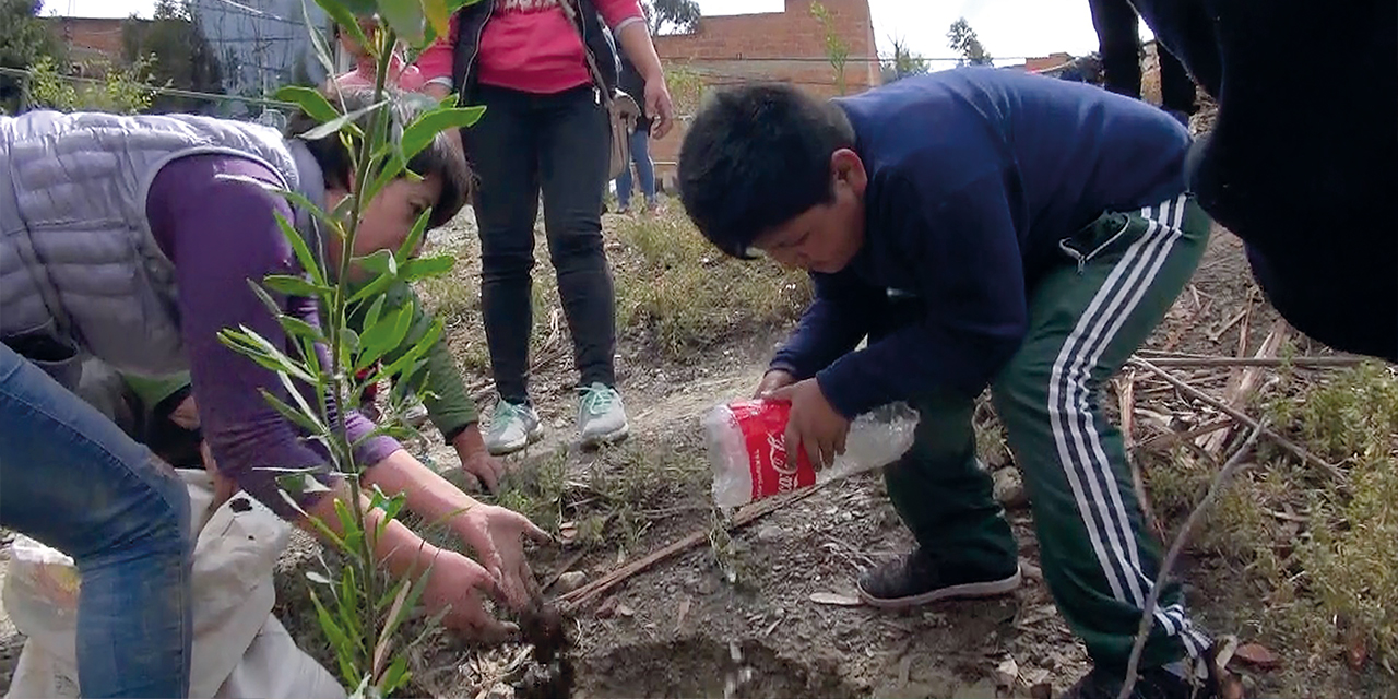 Dos niños son parte de las iniciativas de reforestación. Foto: RRSS