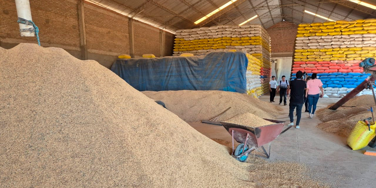 Parte del arroz encontrado en ingenios de Montero, Santa Cruz. Foto. MDPyEP