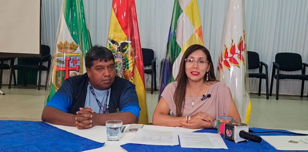 La viceministra de Educación Especial y Alternativa, Viviana Mamani.