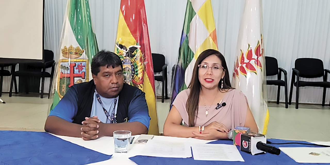 La viceministra de Educación Especial y Alternativa, Viviana Mamani. | Foto: Ministerio de Educación
