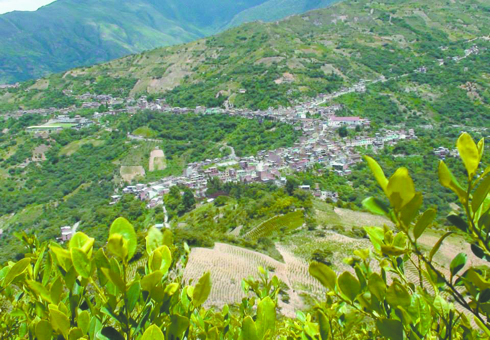 CORIPATA ACTUAL