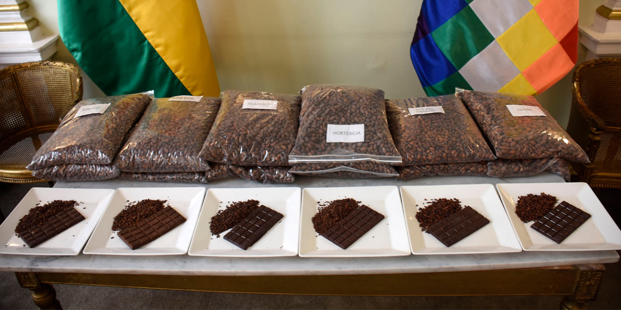 Muestra de cacao premiada en el concurso nacional. (Foto: Gonzalo Jallasi)
