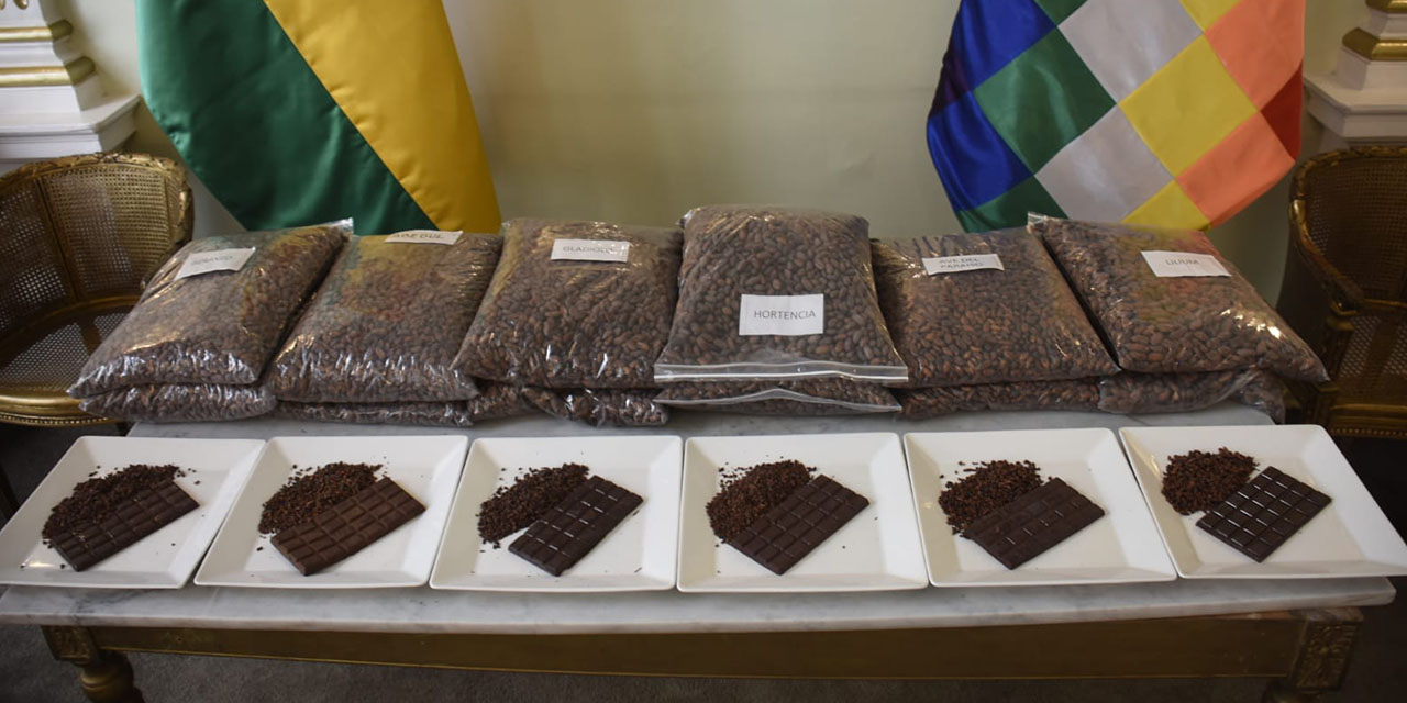 Las muestras de cacao que fueron premiadas. | Foto: Gonzalo Jallasi