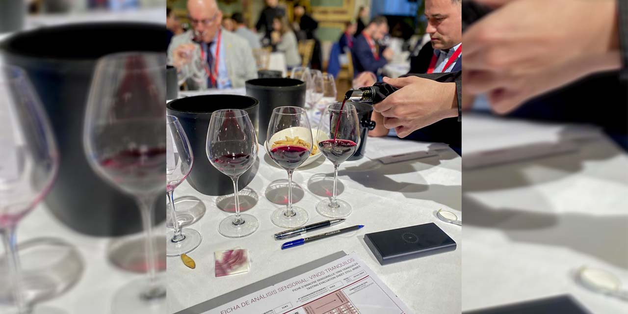 Bolivia logra 11 medallas de oro y 4 de plata en Concurso Internacional de Vinos Bacchus
