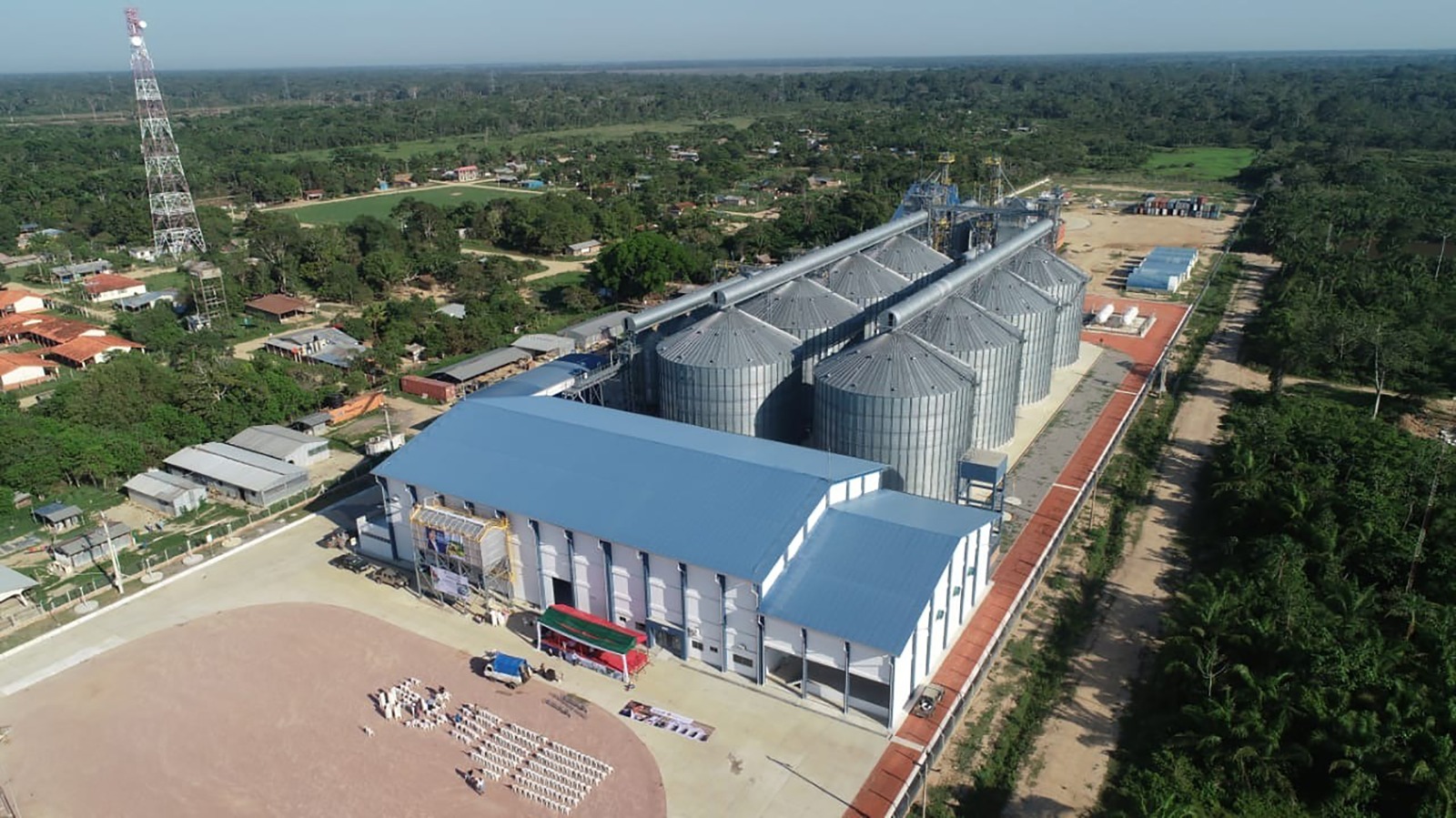 PlantasBonos08053
