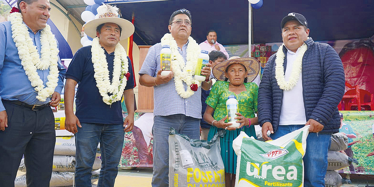 ProduccionDePapa29054
