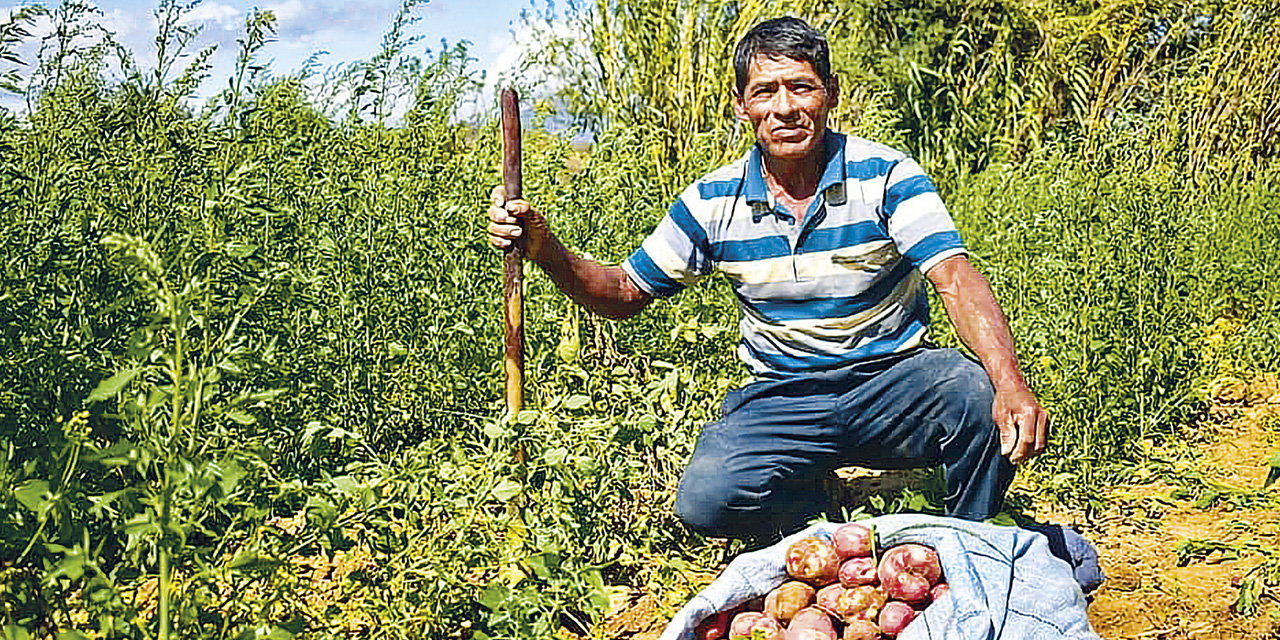 ProduccionDePapa29055