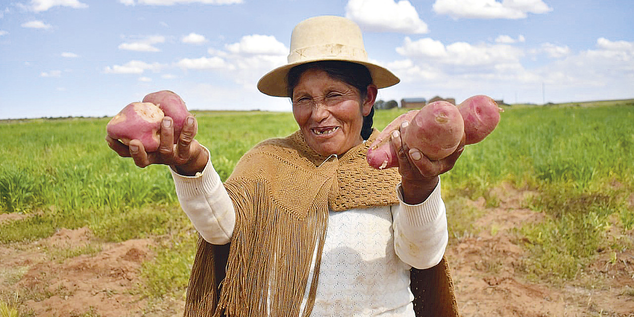 ProduccionDePapa29056