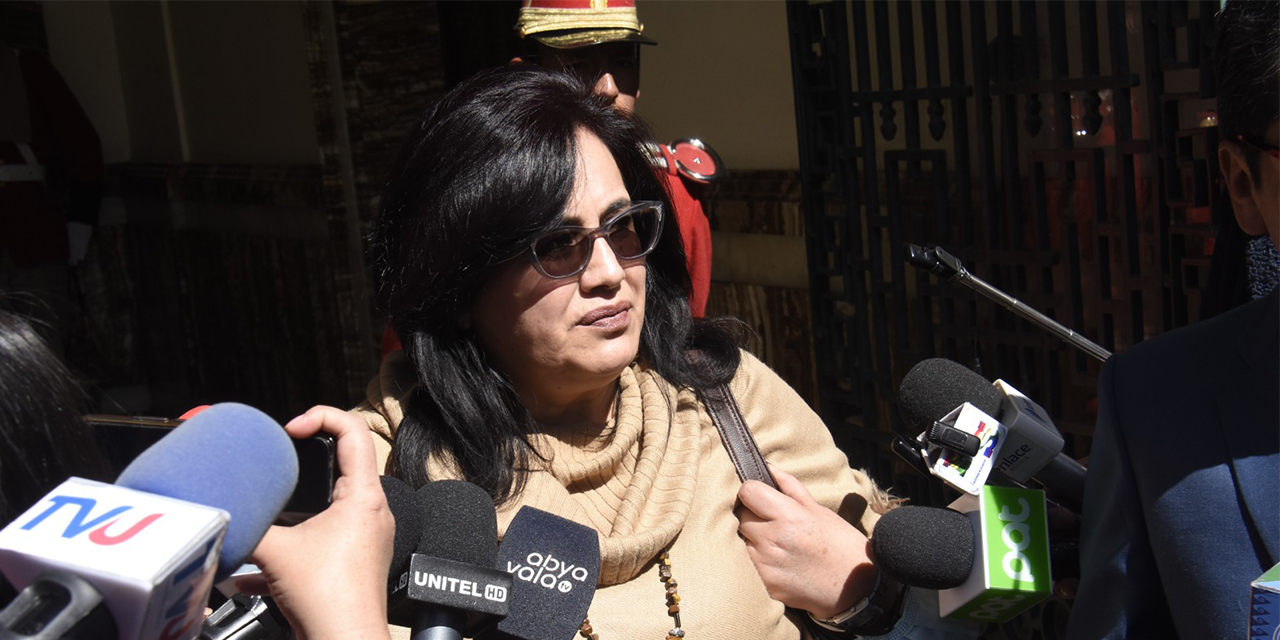 Gobierno de Añez autorizó el incremento de capital de Fassil en dos ocasiones, ratifica viceministra