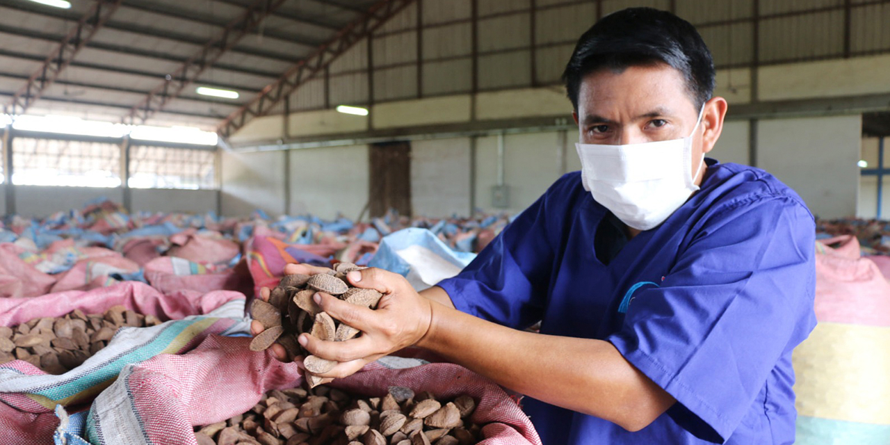 Bolivia es el primer exportador global del fruto actualmente. (Foto: Archivo)