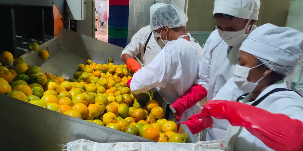 Trabajadores en la planta Procesadora de Cítricos de Caranavi, La Paz. Foto: MDPyEP Plantas industriales de EBA en La Paz generan más de Bs 25,7 millones por ventas en el primer trimestre