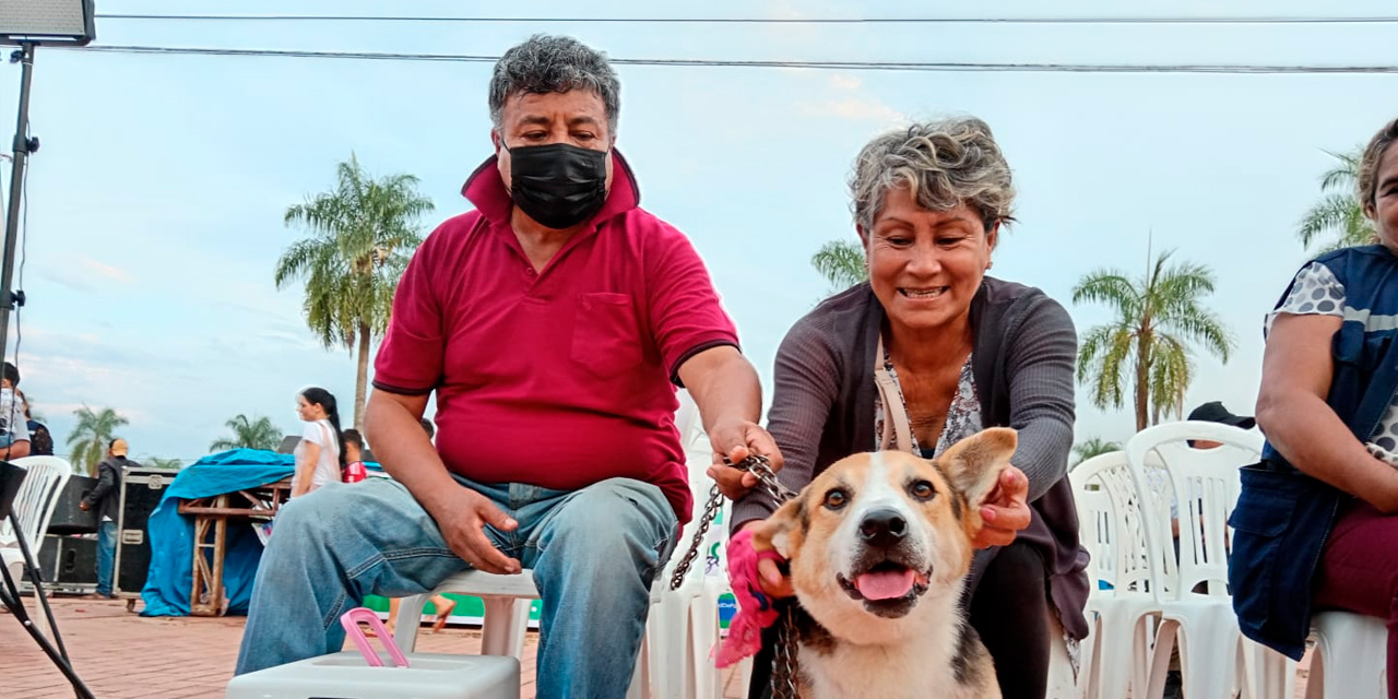 Se recibió una donación de 20 mil jeringas de Brasil. Foto: MSyD.