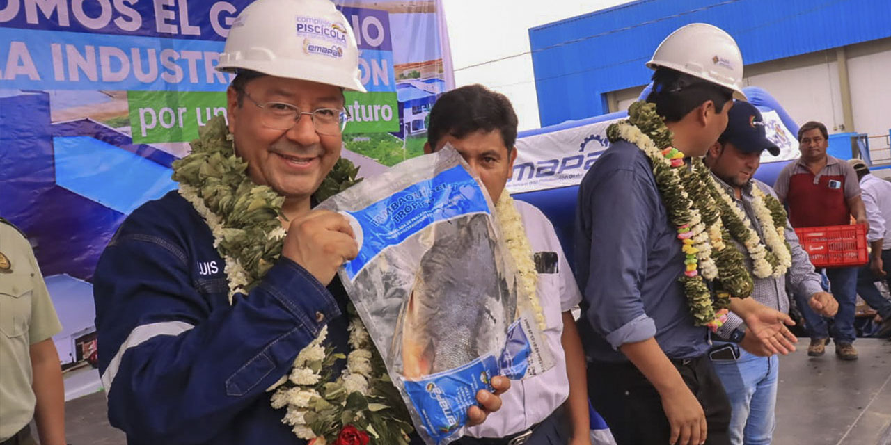 El tambaquí es uno de los peces nutricionalmente más completos de la región. | Foto: Jorge Mamani.