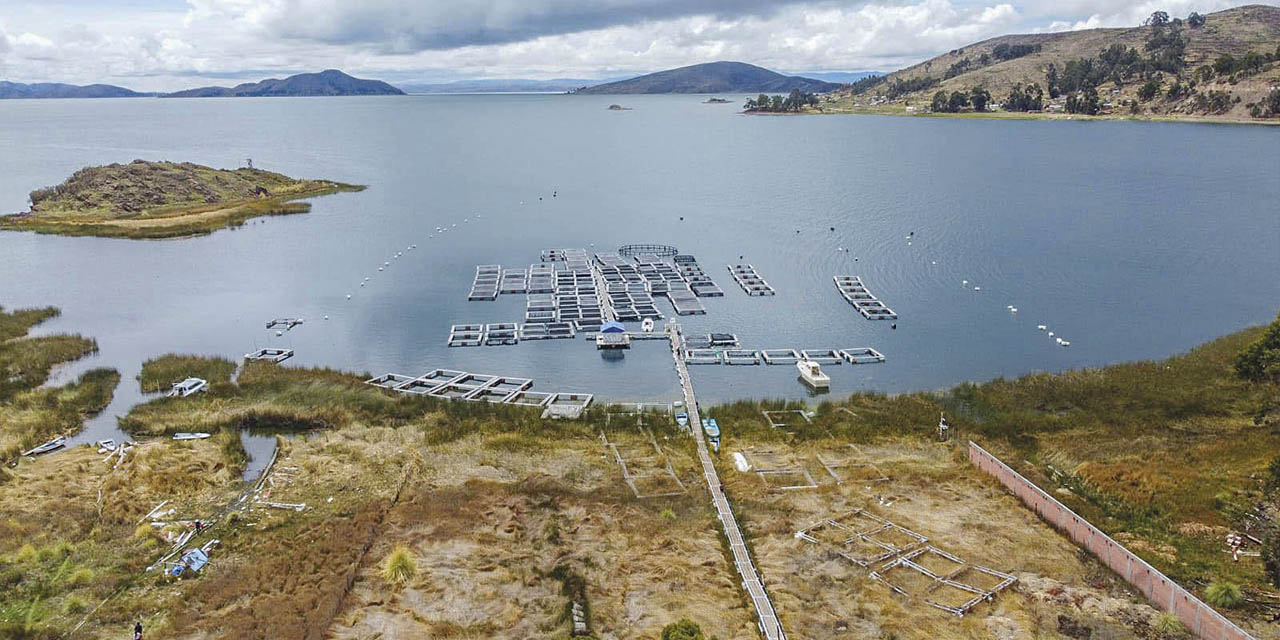 Planta piscícola. Las jaulas para la factoría serán traídas desde Perú.  | Foto: Comunicación Presidencial