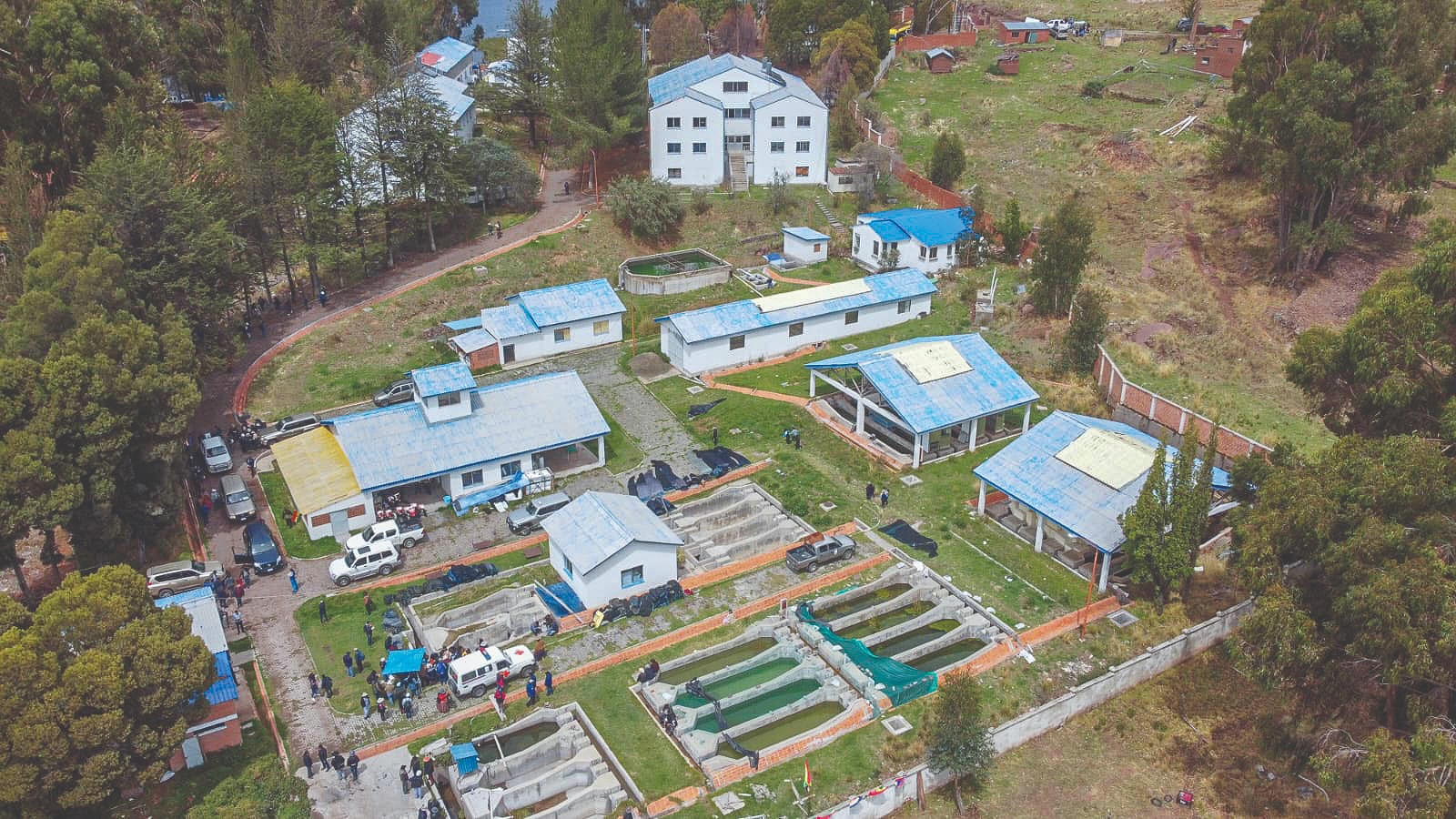 PiscícolaTiticaca3291123