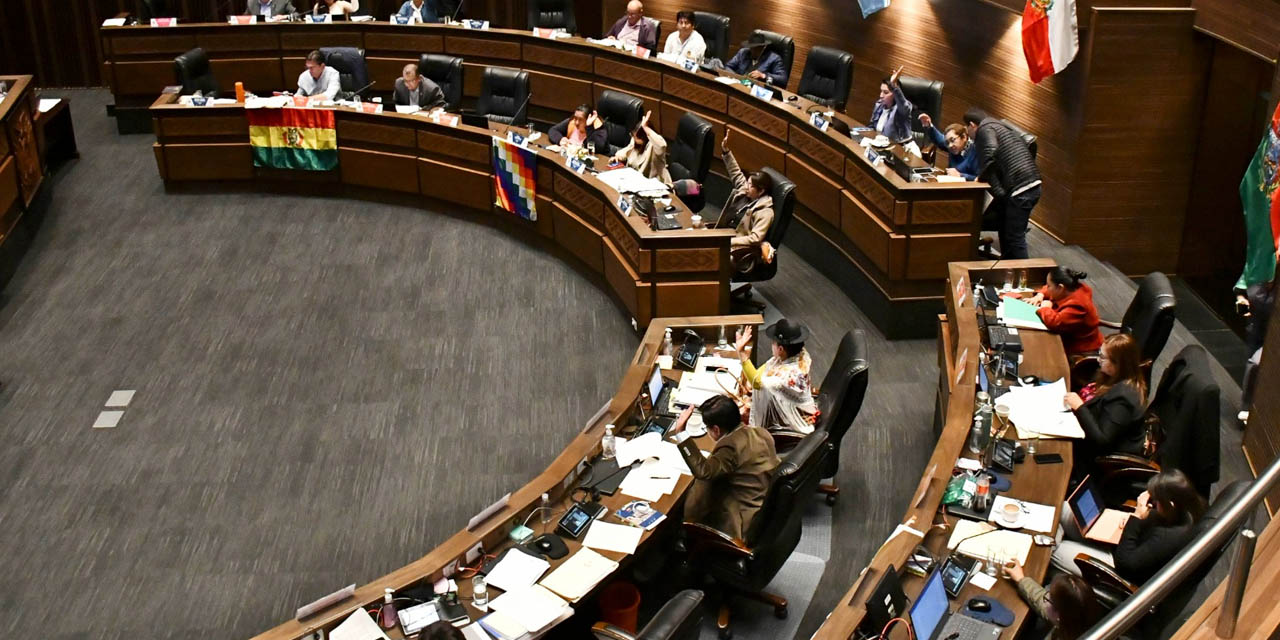Sesión en la Cámara de Senadores. | Foto: APG