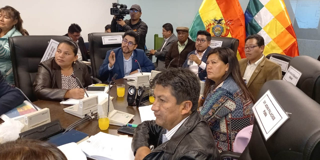 El debate de la Comisión rindió frutos.  | Foto: MEyFP