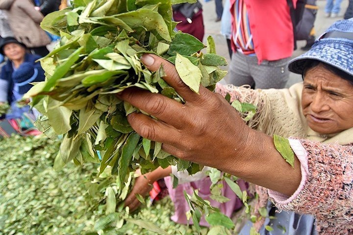 KokabolBolivia3003242