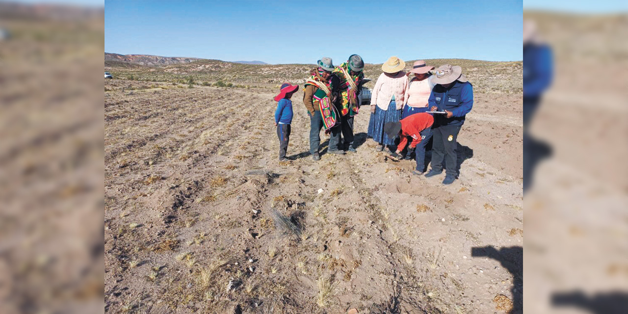 Cultivos afectados por la sequía. Foto:  Archivo