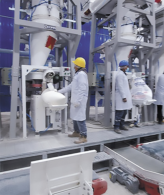 Industrializacion03072