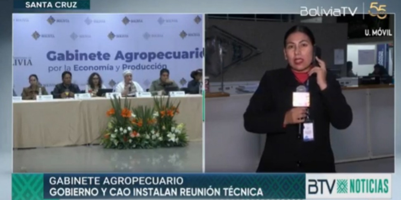 Foto: Captura Bolivia Tv.