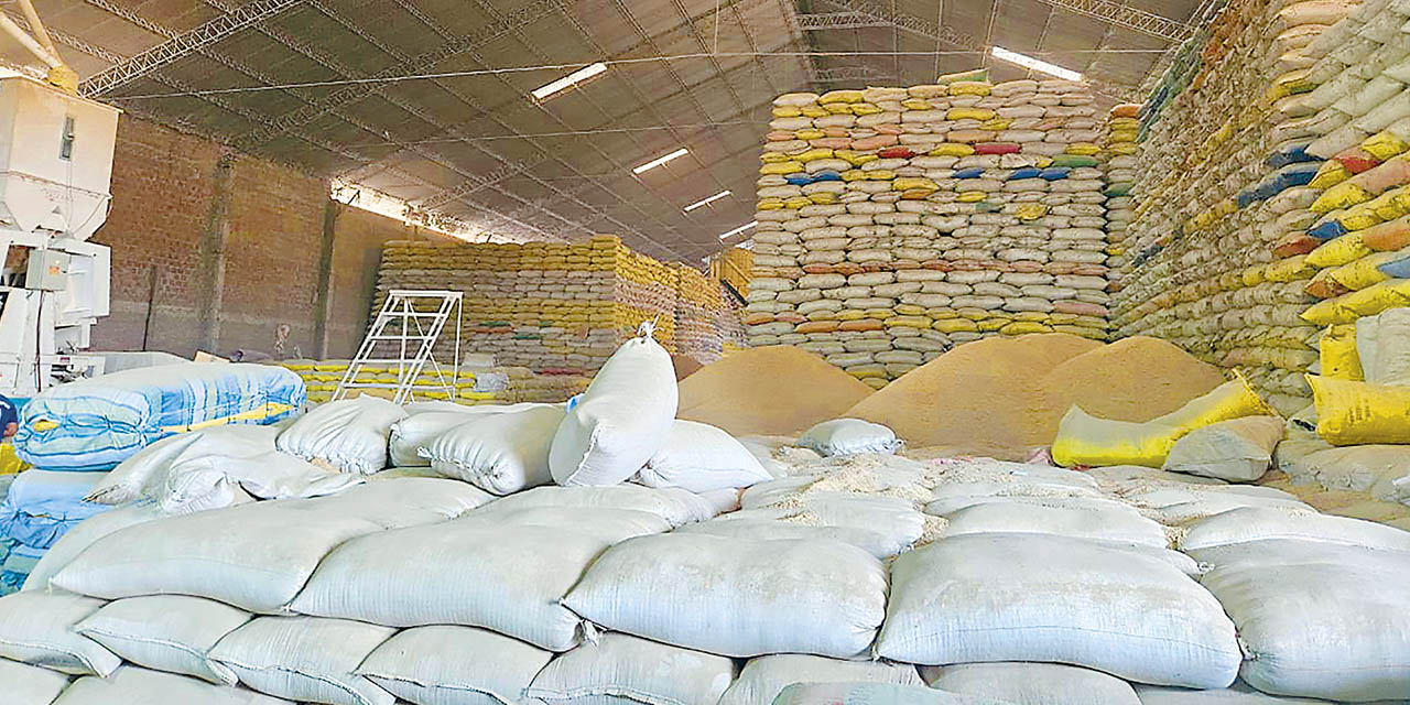 Arroz almacenado en los ingenios de Montero, Santa Cruz.  | Foto: Archivo