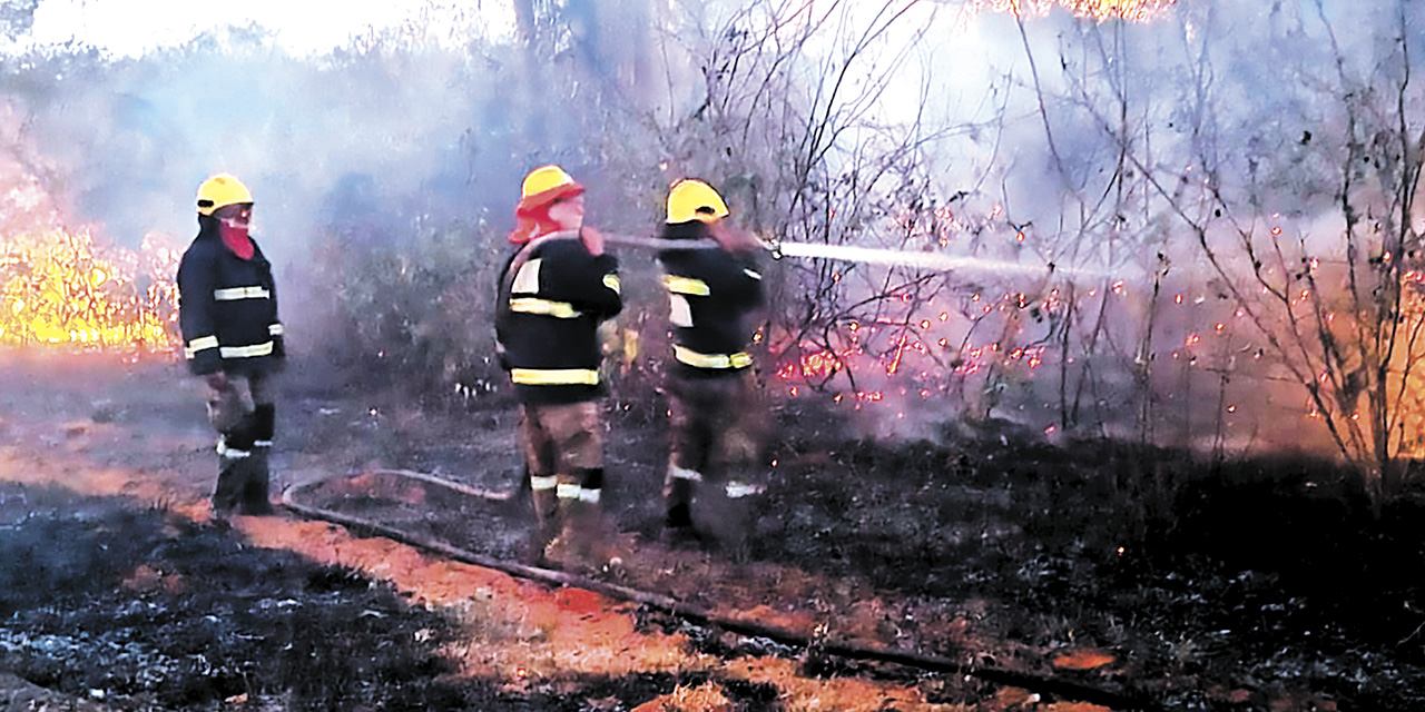 Bomberos combaten los incendios forestales en la Amazonia boliviana. | Foto: Defensa Civil