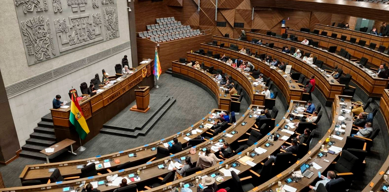 La sesión de la Cámara de Diputados. Foto: CD