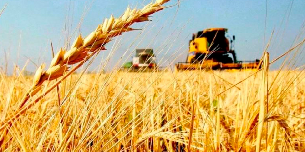 Gran parte de la inversión está destinada al fomento productivo. Foto: Archivo