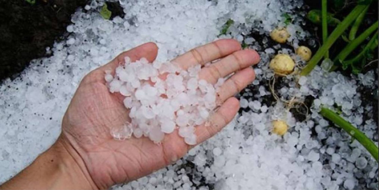 Granizada afecta campos de cultivo. Foto RRSS