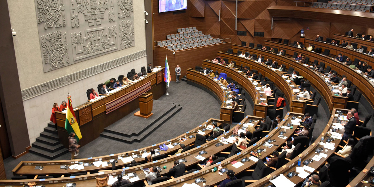 El pleno de la Asamblea Legislativa Plurinacional aprobó ayer la convocatoria. (Foto: Gonzalo Jallasi)