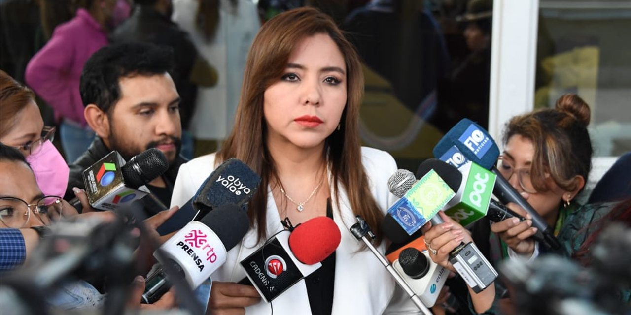La viceministra Gabriela Alcón