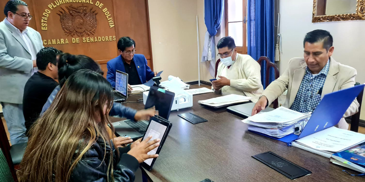 Foto: Senado Bolivia